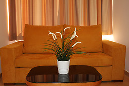 HOTEL PINHAL DO SOL