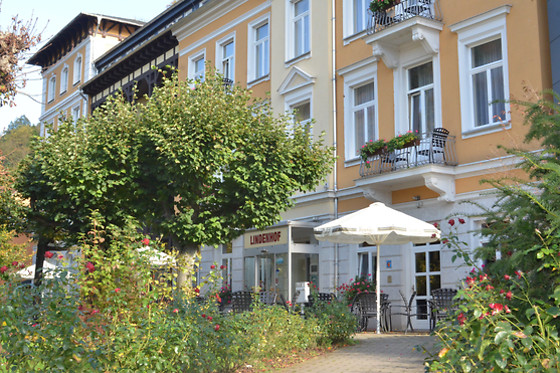 Hotel Lindenhof Bad Schandau - photo 5