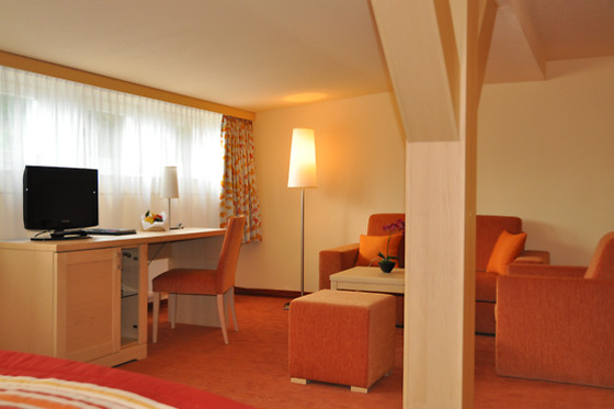 Hotel Lindenhof Bad Schandau - photo 12
