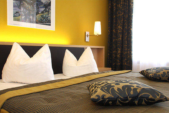 Hotel Lindenhof Bad Schandau - photo 14