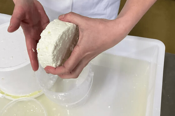 Atelier fromage fermier en Seine-et-Marne (77)