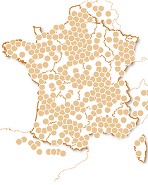 Sport tendance et extrême