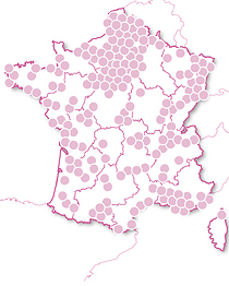 Happy Bien-Être