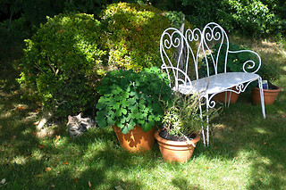 Un séjour à 2 à La Pommeraie 27 à Saint-Georges-du-Vièvre (27)
