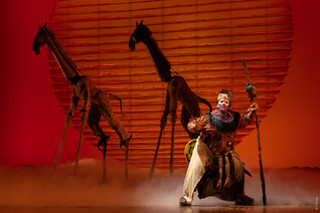 Le Roi Lion - Spectacle en duo
