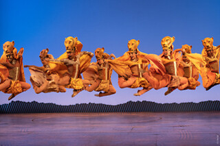 Le Roi Lion - Spectacle en duo