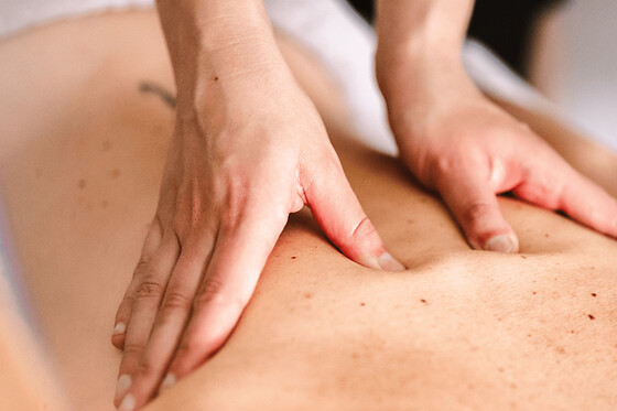 Massage relaxant près de Toulouse (31) - Massage relaxant personnalisé - 1h30