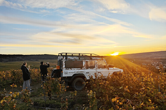 Dégustation de Champagne au coucher du Soleil à Reims  (51)