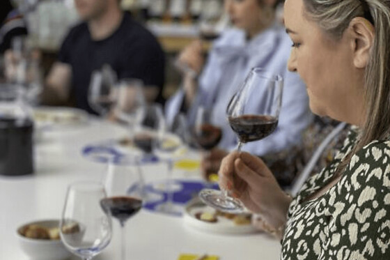Initiation aux vins de Bordeaux (33)