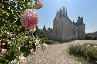 Billet pour le Château de Fougères-sur-Bièvre (41)