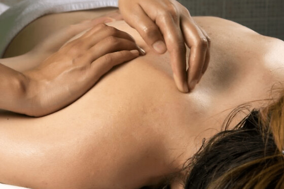 Massage Suédois à Annecy (74)
