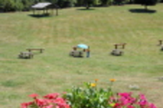 Albergo Rifugio del Cinghiale - photo 1