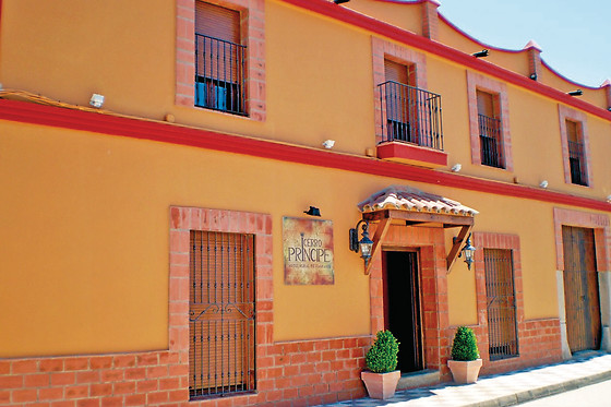 HOTEL RURAL CERRO PRÍNCIPE - photo 1