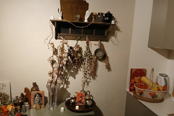 Le Mas des Papillons - photo 26