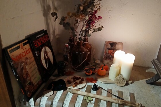Le Mas des Papillons - photo 19