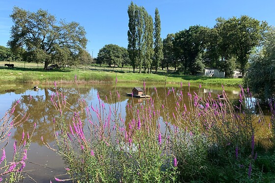 Camping de l'Etang du Pays Blanc - photo 6