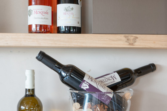 Domaine de Montine - photo 9