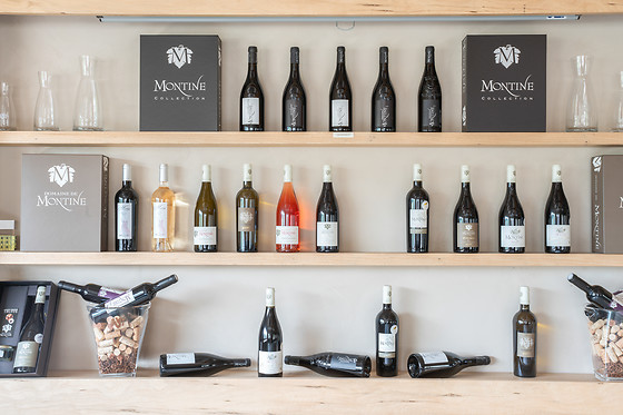 Domaine de Montine - photo 1
