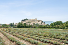 Domaine de Montine