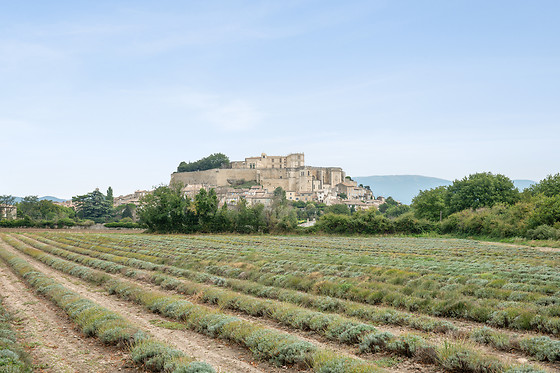 Domaine de Montine - photo 7