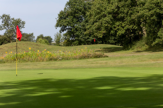 Un cours de golf - Ugolf Château de Metz-Chérisey - Chérisey (57)