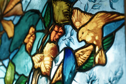 La Réserve Albi