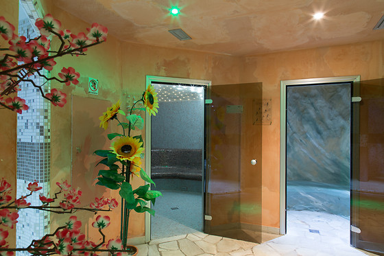 Hotel Alpine Mugon**** - photo 2