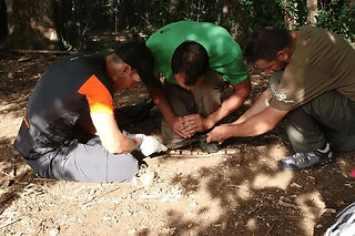 Stage de survie en milieu forestier proche de Bordeaux