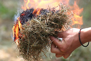 Initiation aux savoir-faire primitifs dans la Forêt de Marly
