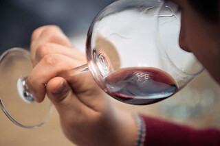 Cours d'œnologie "Initiation à la dégustation de vin" à Angers - Offre Solo