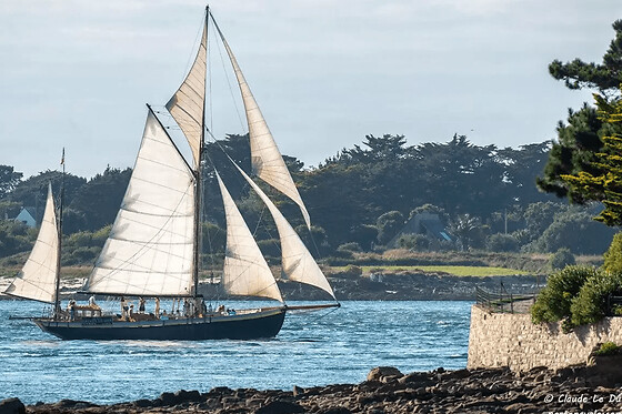 Journée à bord d'un voilier centenaire près de Vannes (56)