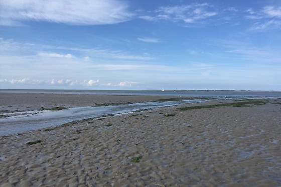 Wadlopen Pieterburen - photo 4