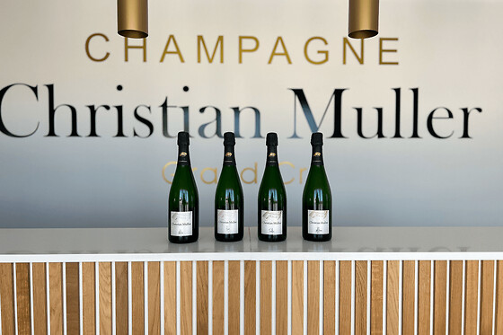 Dégustation de Champagne à Mailly-Champagne (51)