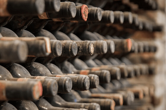 Dégustation de grands vins du Bordelais à Bordeaux (33)