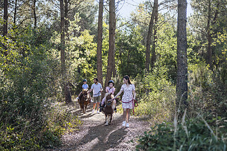 Center Parcs - 3 jours & 2 nuits en duo