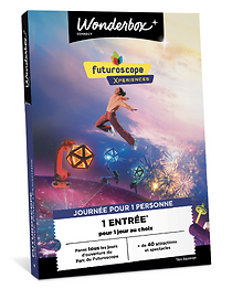 Futuroscope - Journée pour 1 personne