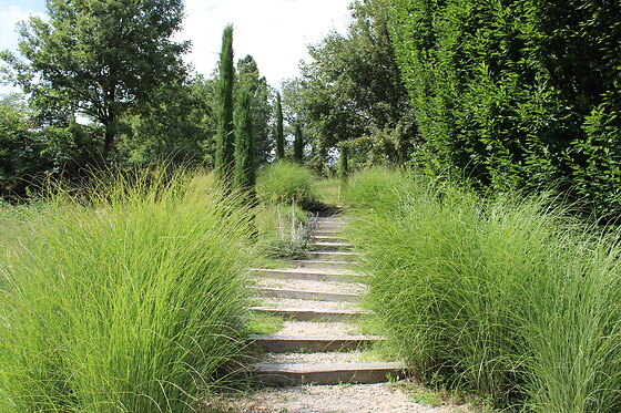 LA CAMPAGNE ST LAZARE - photo 2