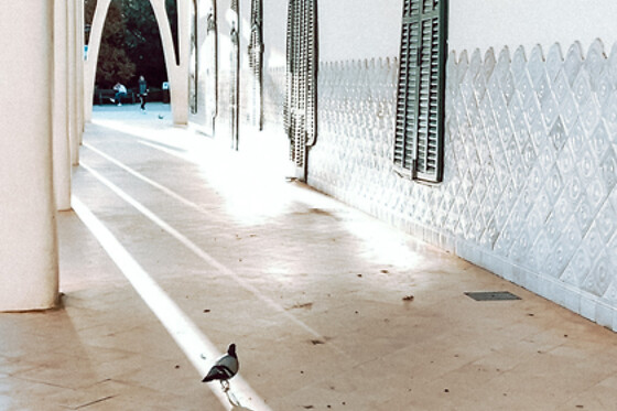 LACAPSADEFOTOS - photo 10