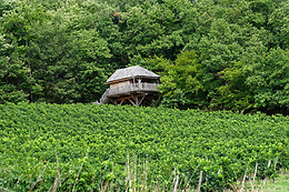 LES CABANES DES BENAUGES