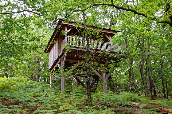 LES CABANES DES BENAUGES - photo 9