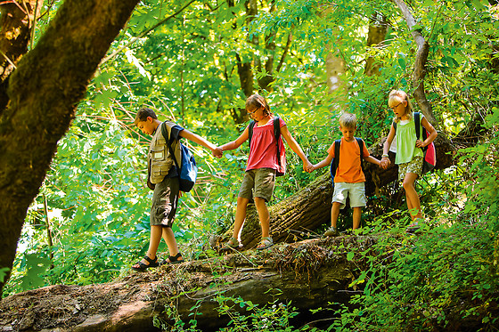 BOYER SPORT NATURE - photo 5