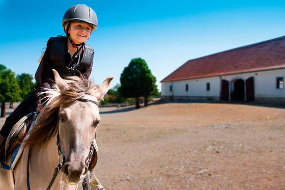 Espace Equestre du Pays de Retz - photo 5