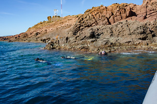 Une chasse au trésor aquatique - Port Fréjus (83)