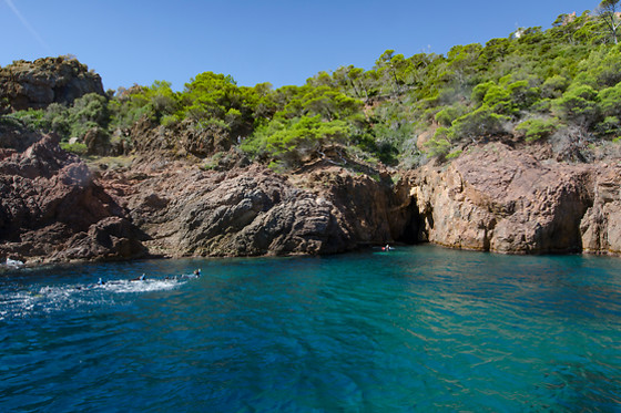 Une chasse au trésor aquatique - Port Fréjus (83)
