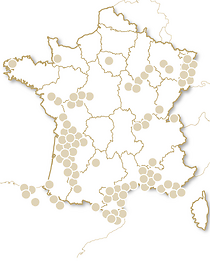 Séjour oenologique