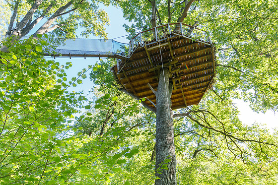 Séjour pour 2 en cabane flottante au Domaine des Vaulx à La Baconnière (53)