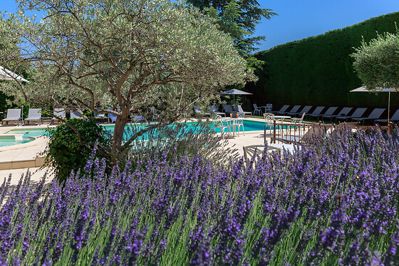 Auberge de Cassagne***** - photo 31