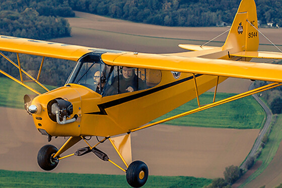 Vol découverte en avion de collection à Cerny (91)
