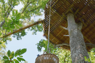Séjour à 2 dans une cabane au Domaine des Vaulx à La Baconnière (53)