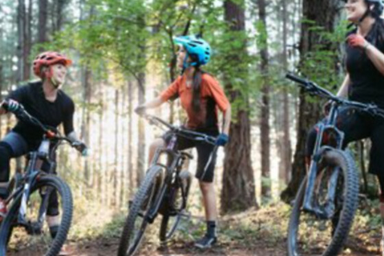 Bikes Adventure - photo 0